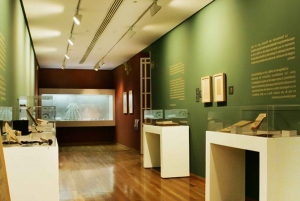 Malaga: Guided tour of Picasso's Birthplace Museum
