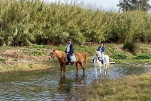 Malaga: Guided tour on horseback through the Guadalhorce Valley