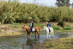 Malaga: Guided tour on horseback through the Guadalhorce Valley