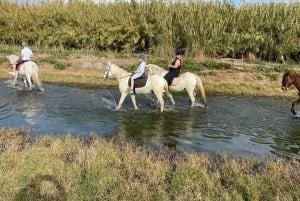 Malaga: Guided tour on horseback through the Guadalhorce Valley