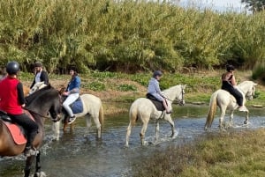 Malaga: Guided tour on horseback through the Guadalhorce Valley