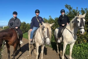 Malaga: Guided tour on horseback through the Guadalhorce Valley