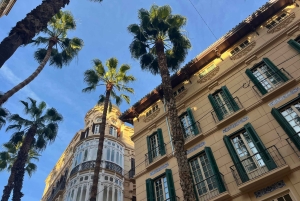 Málaga: Hidden Rooftops & Sunset Views with a Local