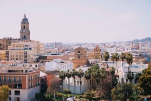 Málaga: Highlights, Old Town & Viewpoint Walking Tour