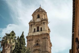 Málaga: Highlights, Old Town & Viewpoint Walking Tour