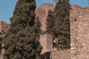 Málaga: Highlights, Old Town & Viewpoint Walking Tour