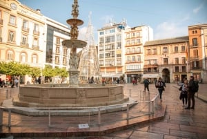 Málaga: Highlights, Old Town & Viewpoint Walking Tour