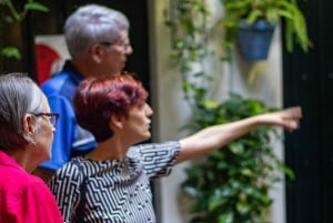 Málaga: Highlights, Old Town & Viewpoint Walking Tour