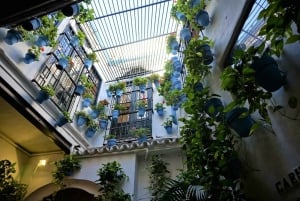 Málaga: Highlights, Old Town & Viewpoint Walking Tour