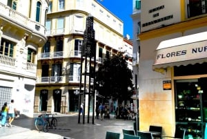 Málaga: Centro Histórico Tour particular com guia local