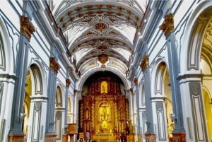 Málaga: Centro Histórico Tour particular com guia local