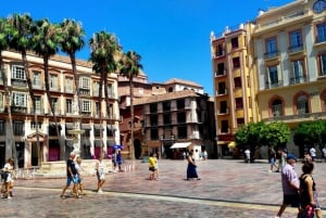 Málaga: Centro Histórico Tour particular com guia local