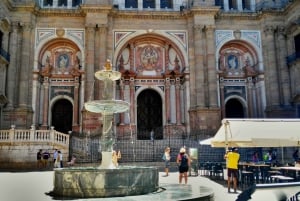 Málaga: Centro Histórico Tour particular com guia local