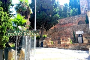 Málaga: Centro Histórico Tour particular com guia local