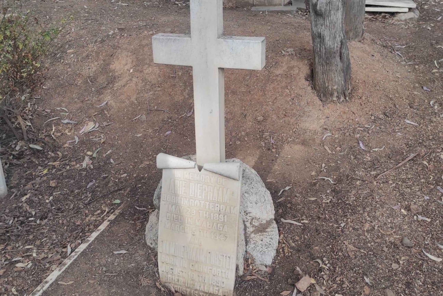 Malaga: historical tour of the English Cemetery