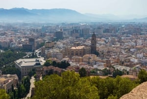 Malaga: Wycieczka piesza z przewodnikiem po historii Picassa
