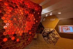 Malaga: Toegangsbewijs voor het Honingmuseum