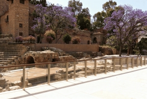 Málaga: Insta-Perfect Walking Tour with a Local Guide