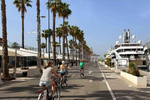 Malaga La Bella Coast Bike Tour