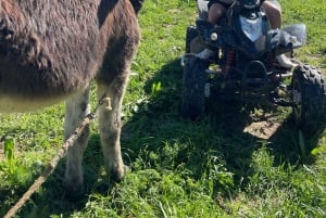 Malaga: Land and River Guided Quad Tour 1-Hour (2-Persons)
