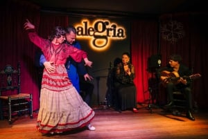 Malaga: spettacolo di flamenco dal vivo al Flamenco Alegría
