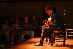 Malaga: spettacolo di flamenco dal vivo al Flamenco Alegría