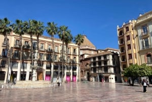 Malaga: long highlights tour with skip-line-tickets