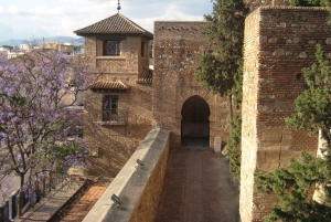 Málaga: lange Tour mit Skip-Line-Tickets