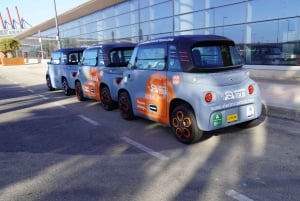 Málaga: Montañas de Málaga Alquiler de coches eléctricos con almuerzo