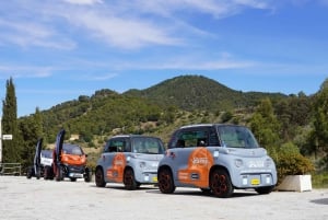 Malaga: noleggio di auto elettriche sulle montagne di Malaga con pranzo