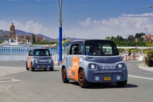 Málaga: Montañas de Málaga Alquiler de coches eléctricos con almuerzo