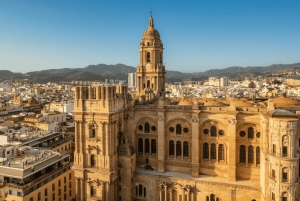 Málaga Monuments Tour: Cathedral, Museum, Alcazaba + Gelato