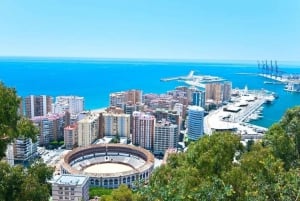 Malaga: Gåtur til must see-attraktioner