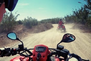 Malaga : excursion en quad dans la nature