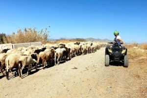 Málaga: Off-Road 2-Seater Quad Tour through Dirt and River