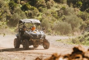 Málaga: Off-road buggy-tur i Mijas
