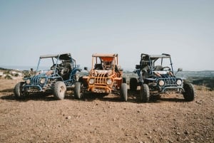 Málaga: Terrengsykkeltur med buggy og panoramautsikt over Mijas