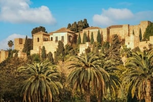 Malaga: Old Town, Roman Theatre, Alcazaba, & Cathedral