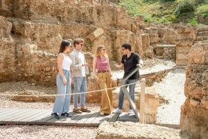 Malaga: Old Town, Roman Theatre, Alcazaba, & Cathedral