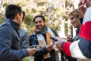 Malaga: Ulkona tapahtuva pakopeli Operaatio Mindfall