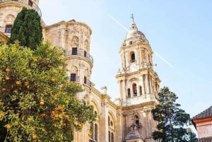 Malaga Outdoor Escape Game: Skattjakt med sightseeing