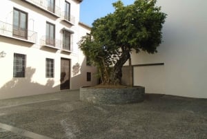 Malaga: Guidad tur till Picassomuseet med Skip-the-Line-biljett