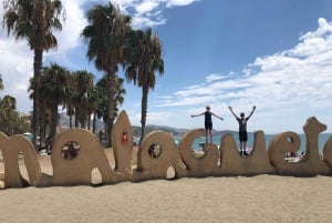 Malaga: Premium Guided Bike Tour