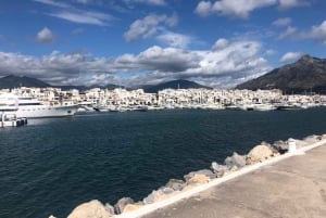 Malaga: Premium Guided Bike Tour