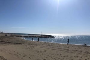 Malaga: Premium Guided Bike Tour