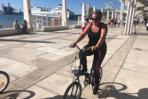 Malaga: Premium Guided Bike Tour