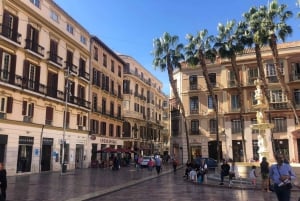 Malaga: Premium Guided Bike Tour