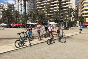 Malaga: Premium Guided Bike Tour
