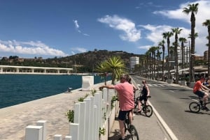 Malaga: Premium Guided Bike Tour