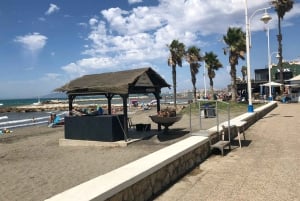 Malaga: Premium Guided Bike Tour